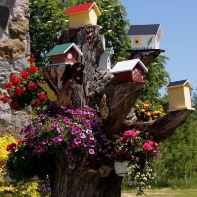 Birdhouse Hotel